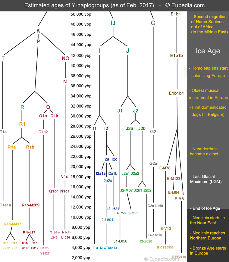 Linha de tempo aproximada das origens dos haplogrupos encontrados na Europa