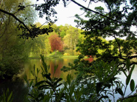 Stourhead Garden
