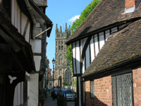 Warwick