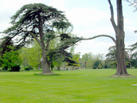 Gardens, Wilton House