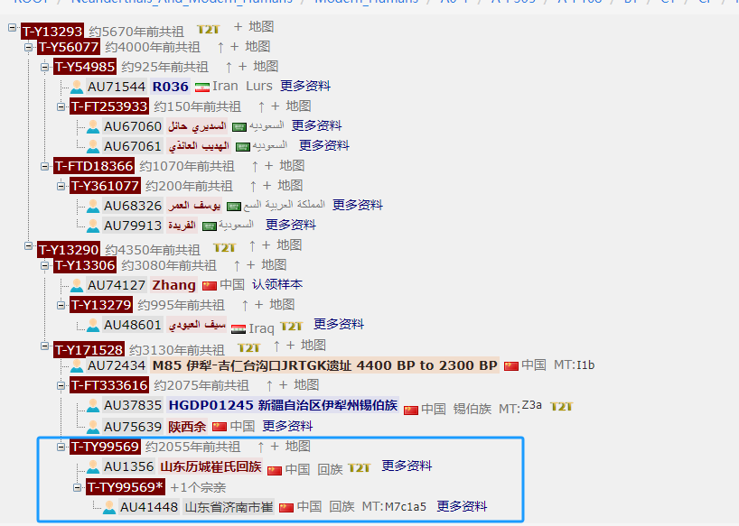 1751113361684.png