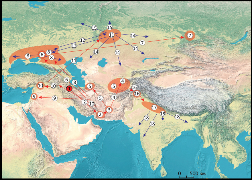 Indo-Iranians.jpg