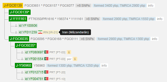 Maz.jpg