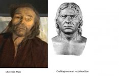 comparison.jpg