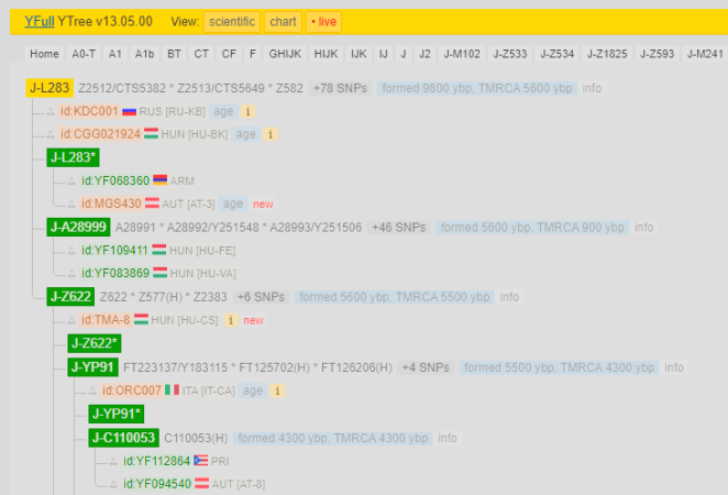 Screenshot 2025-08-21 185654.png