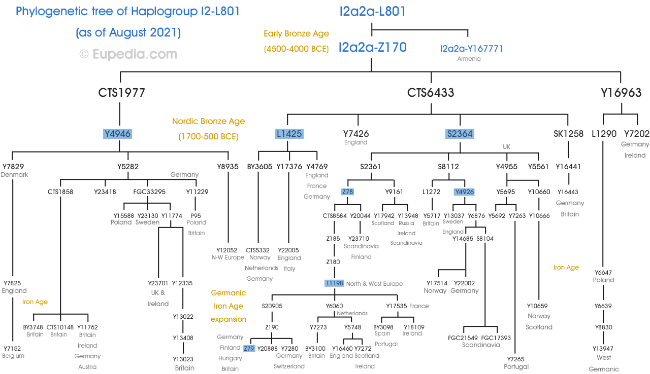 Haplogroup I2 (Y-DNA) - Eupedia