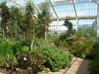 Национальный Ботанический Сад 