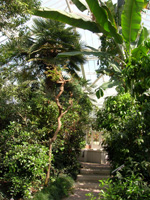 Национальный Ботанический Сад 