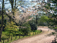 Японский сад, Hasselt