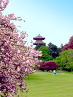 Japanese Pagoda viewed from the Royal Greenhouses, Brussels