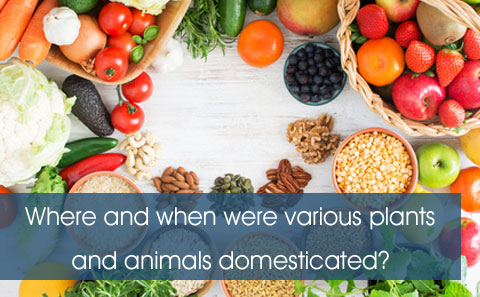 domesticated plants and animals